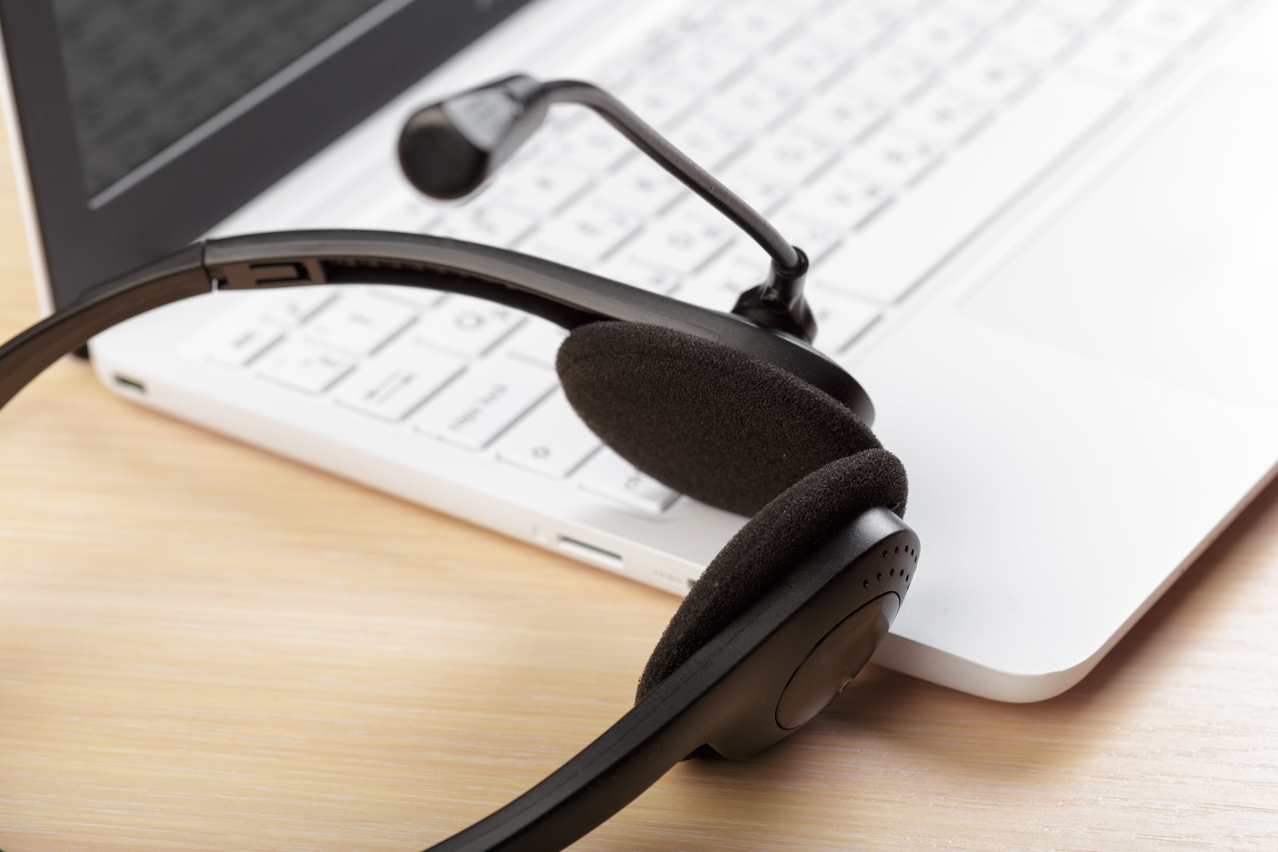 Lost in Translation? Not Anymore! Exploring the Best Offline Translator